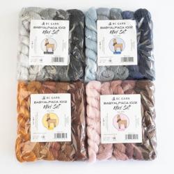 BC Garn Babyalpaca 10/2 Set 125g