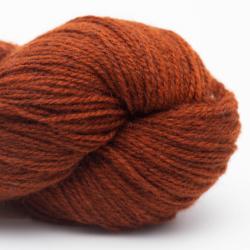 Nomadnoos High Mountain Yak 2-ply light fingering handspun dear valley spice (orange)